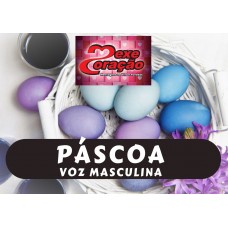 PÁSCOA  - voz Masculino